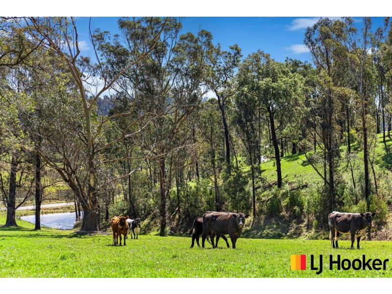12 Waincourt Road, Eurobodalla NSW 2545