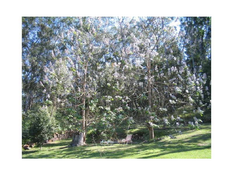 1998 Araluen Road, Moruya NSW 2537