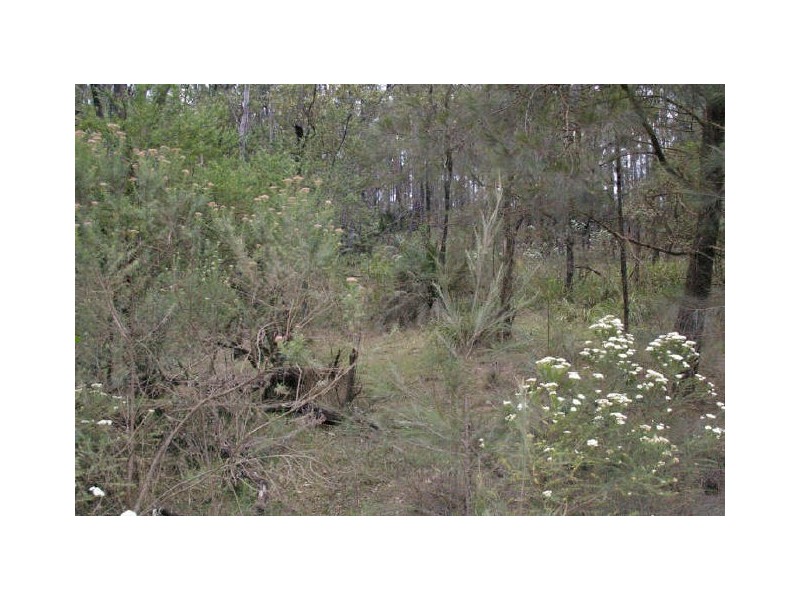 1998 Araluen Road, Moruya NSW 2537