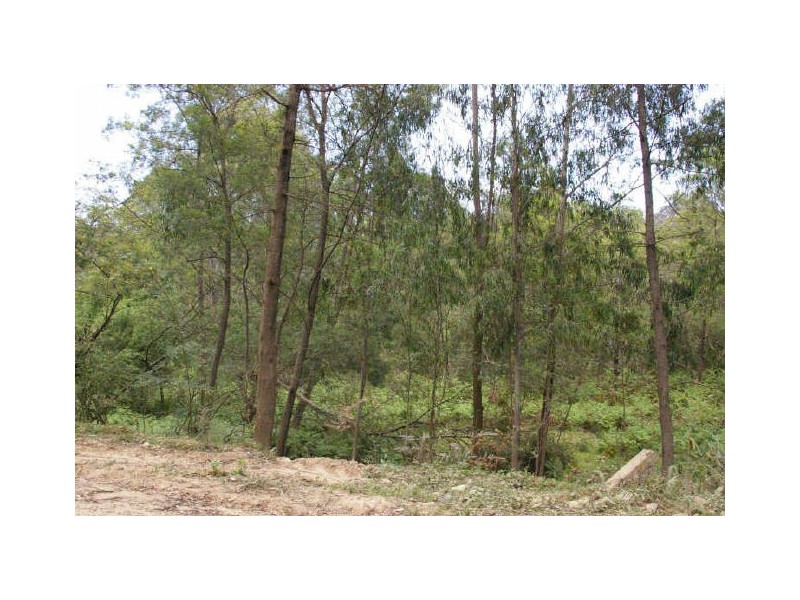 1998 Araluen Road, Moruya NSW 2537