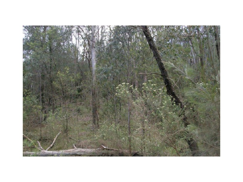 1998 Araluen Road, Moruya NSW 2537