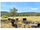 2321 Eurobodalla Road, Cadgee NSW 2545