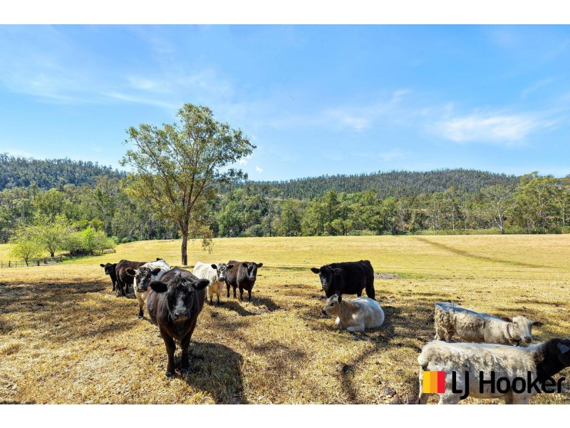 2321 Eurobodalla Road, Cadgee NSW 2545