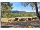 2321 Eurobodalla Road, Cadgee NSW 2545