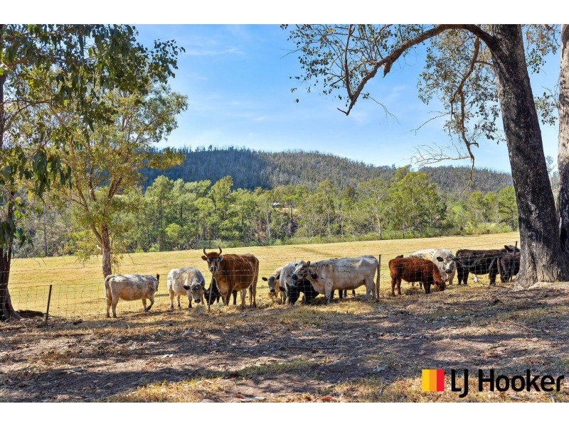 2321 Eurobodalla Road, Cadgee NSW 2545