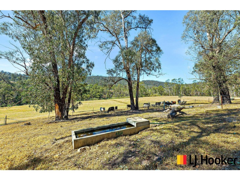 2321 Eurobodalla Road, Cadgee NSW 2545