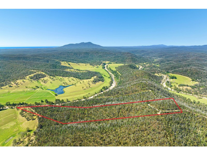 Lot 22 Part 51 Nerrigundah Mountain Road, Bodalla NSW 2545