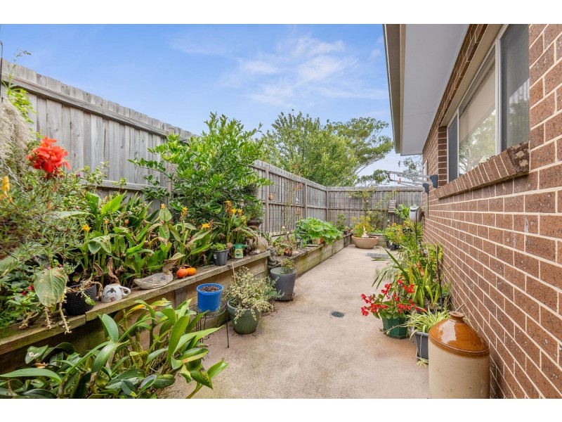 7 Braemar Drive, Moruya NSW 2537