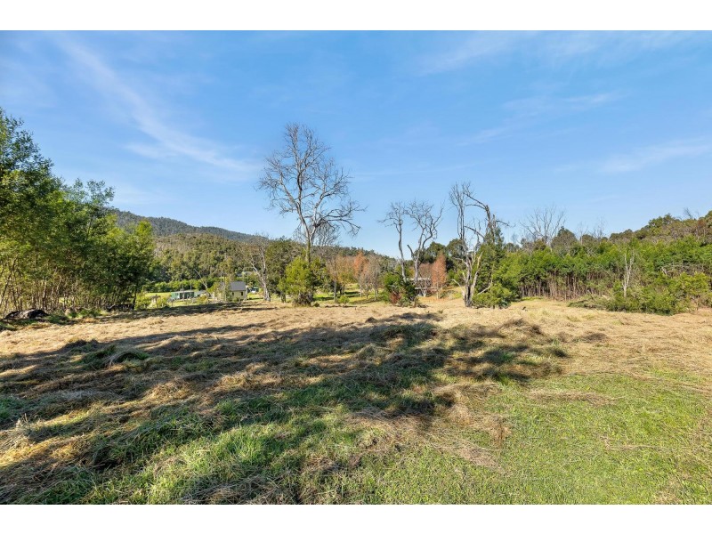 Lot 1/ Byrnes Street, Nerrigundah NSW 2545