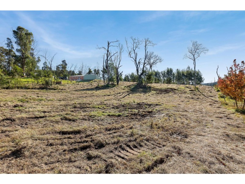 Lot 1/ Byrnes Street, Nerrigundah NSW 2545