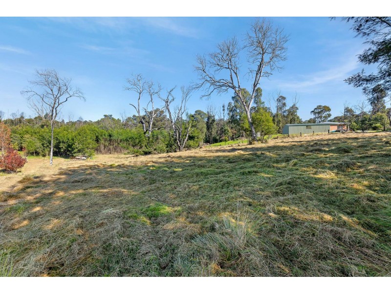 Lot 1/ Byrnes Street, Nerrigundah NSW 2545