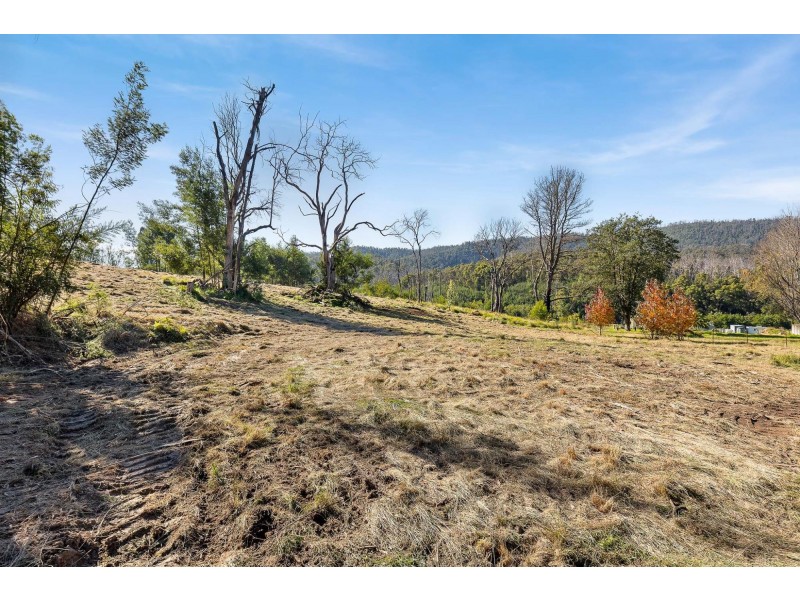 Lot 1/ Byrnes Street, Nerrigundah NSW 2545