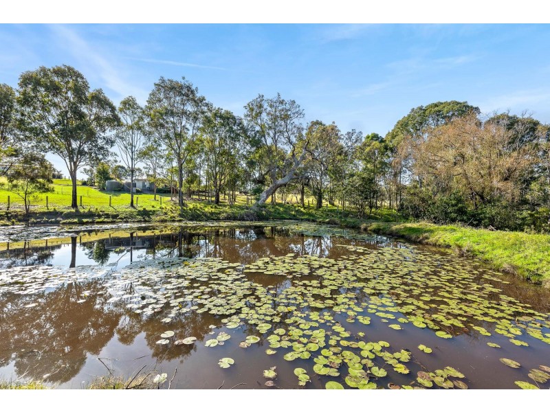 56 Mountain View Road, Moruya NSW 2537