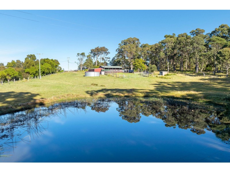 445 Bingie Road, Bingie NSW 2537