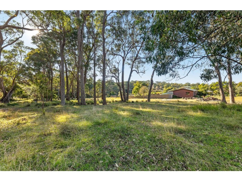 445 Bingie Road, Bingie NSW 2537
