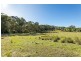 445 Bingie Road, Bingie NSW 2537