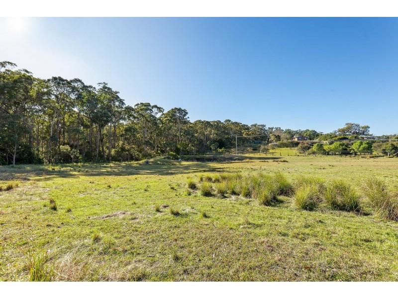 445 Bingie Road, Bingie NSW 2537