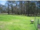 8 Berriman Drive, Congo NSW 2537