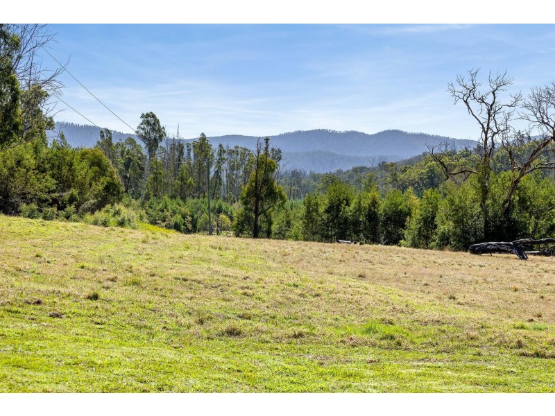 2 Gulph Street, Nerrigundah NSW 2545