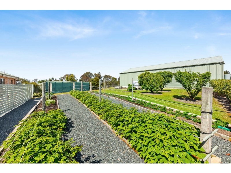 8 Mountain View Road, Moruya NSW 2537