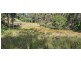 19 Collett Place, Meringo NSW 2537