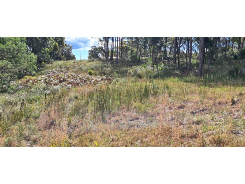 19 Collett Place, Meringo NSW 2537