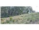 19 Collett Place, Meringo NSW 2537