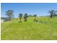 Lot 1 & 2 Turnbulls Lane, Moruya NSW 2537