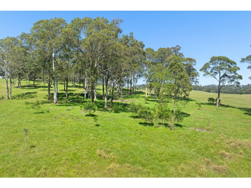 40 Lilydale Place, Bergalia NSW 2537
