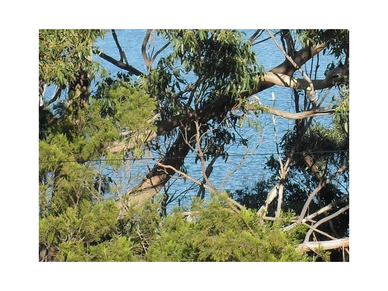 57 Hawkins Road, Tuross Head NSW 2537