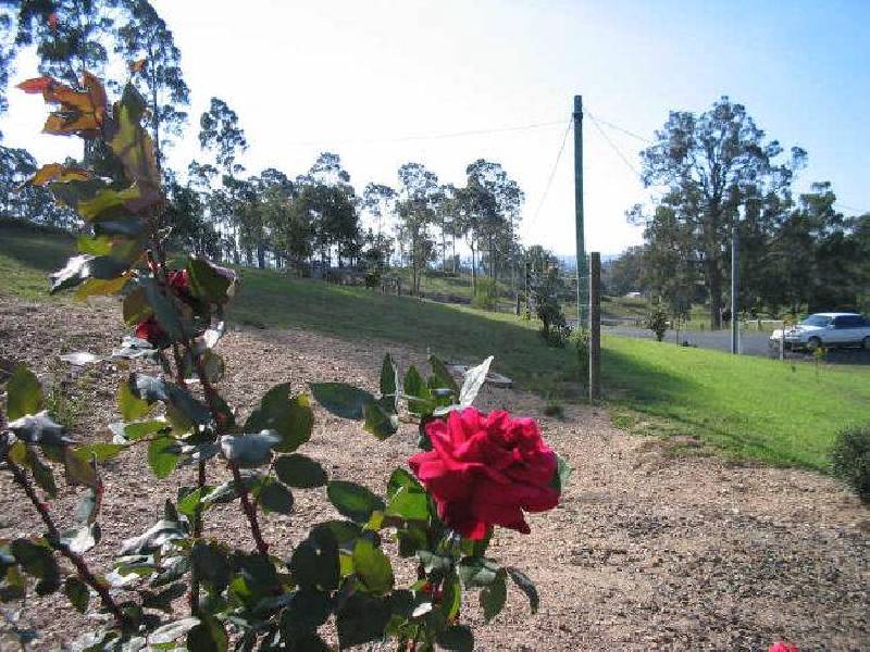 520 Bodalla Park Drive, Bodalla NSW 2545