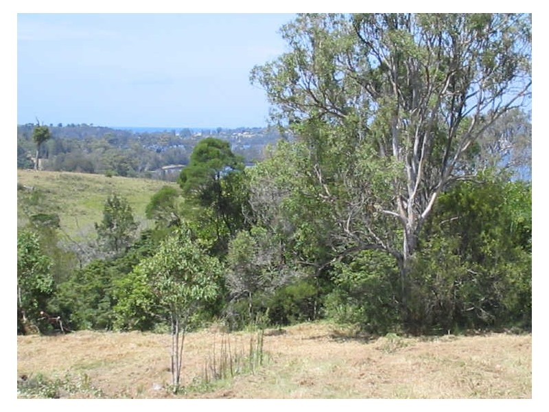 4123 Princes Highway, Tuross Head NSW 2537