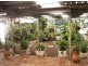 30 Iris, Moree NSW 2400