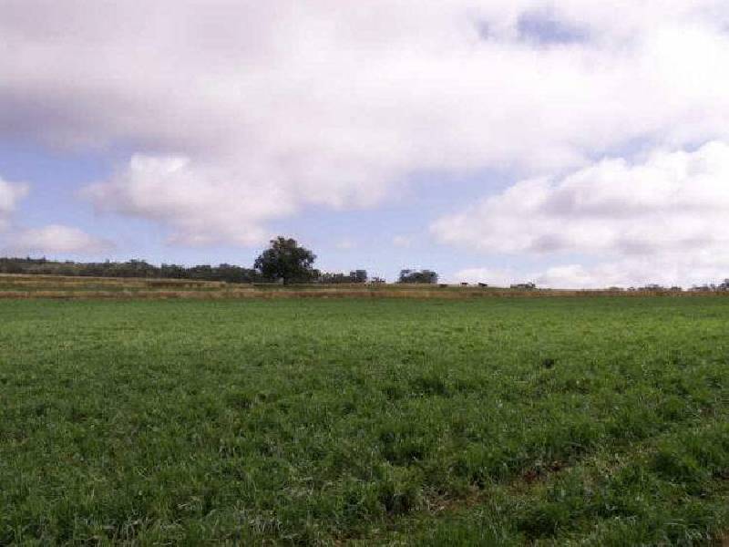 Braemar, Bingara NSW 2404