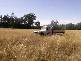 Braemar, Bingara NSW 2404