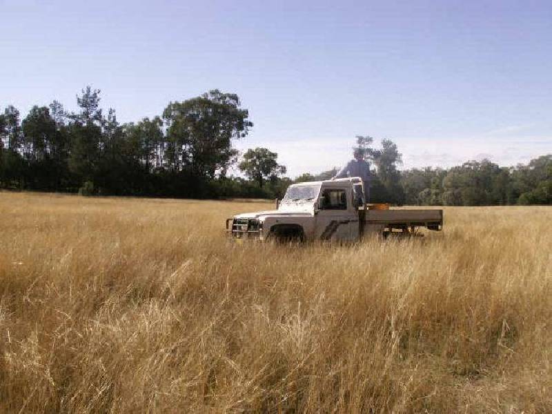 Braemar, Bingara NSW 2404