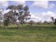 Sunny Ridge, Moree NSW 2400