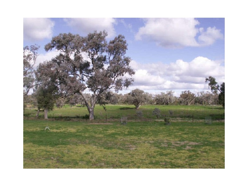 Sunny Ridge, Moree NSW 2400