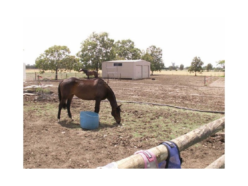 chinamans lane, Moree NSW 2400