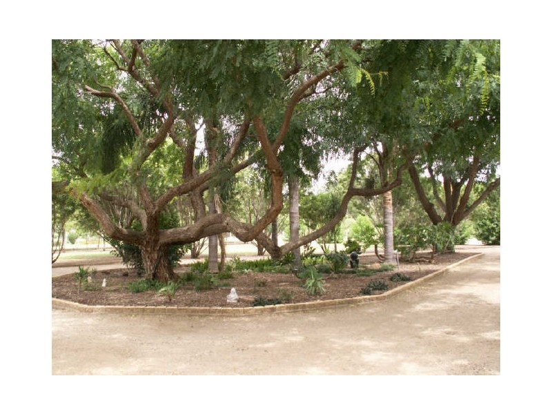 Yanola, Moree NSW 2400