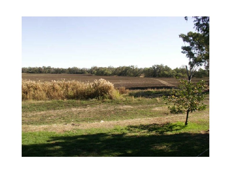 Mungindi Road, Moree NSW 2400