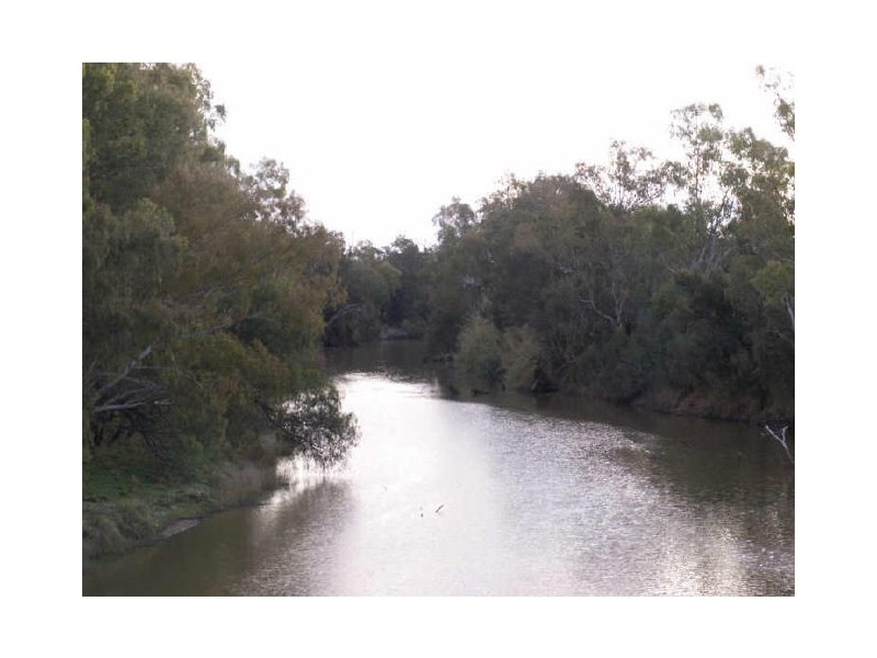 7 Mosquito creek Road, Pallamallawa NSW 2399