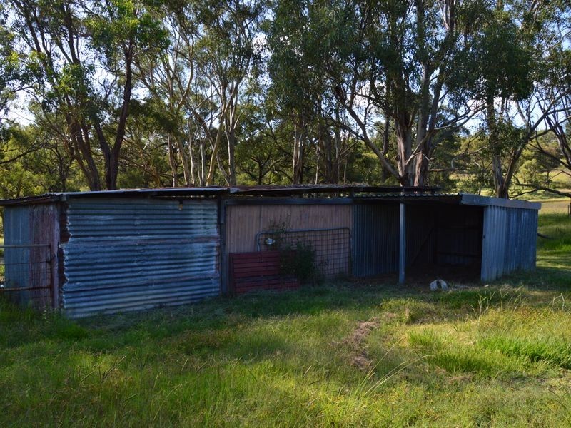 42 Lindsay Road, North Rothbury NSW 2335