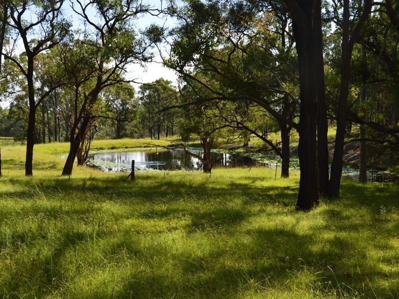 42 Lindsay Road, North Rothbury NSW 2335