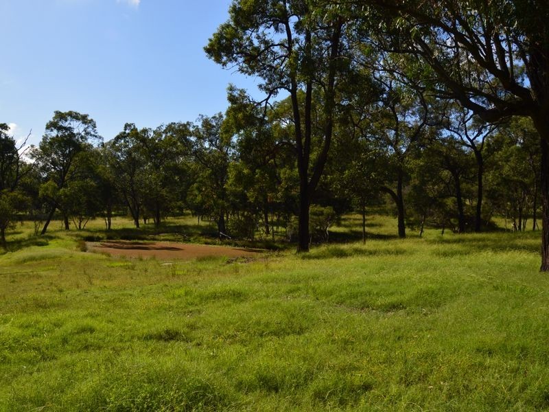 42 Lindsay Road, North Rothbury NSW 2335