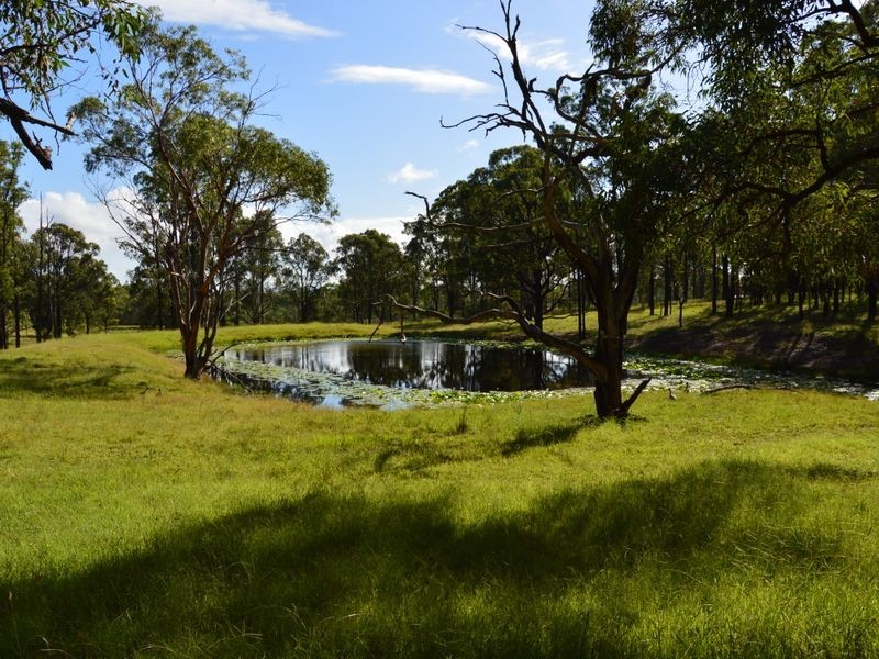 42 Lindsay Road, North Rothbury NSW 2335