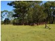 42 Lindsay Road, North Rothbury NSW 2335