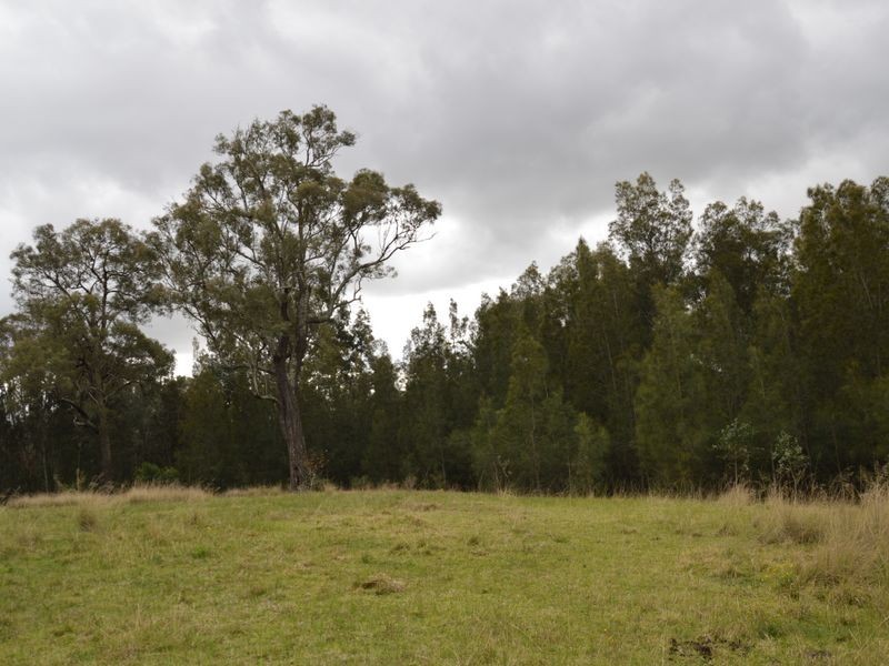 3 Robertson Court, Singleton NSW 2330