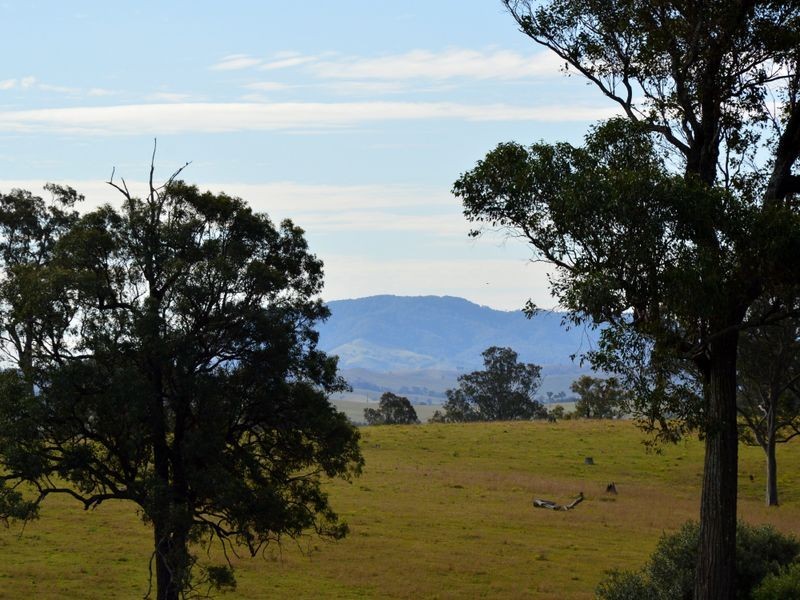 273 Glendon Lane, Singleton NSW 2330