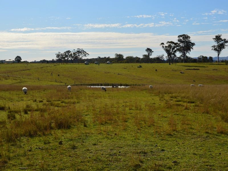 273 Glendon Lane, Singleton NSW 2330